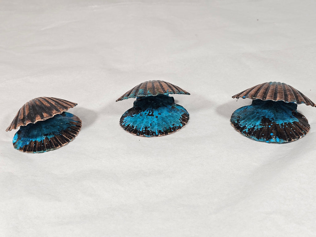 Double Scallop