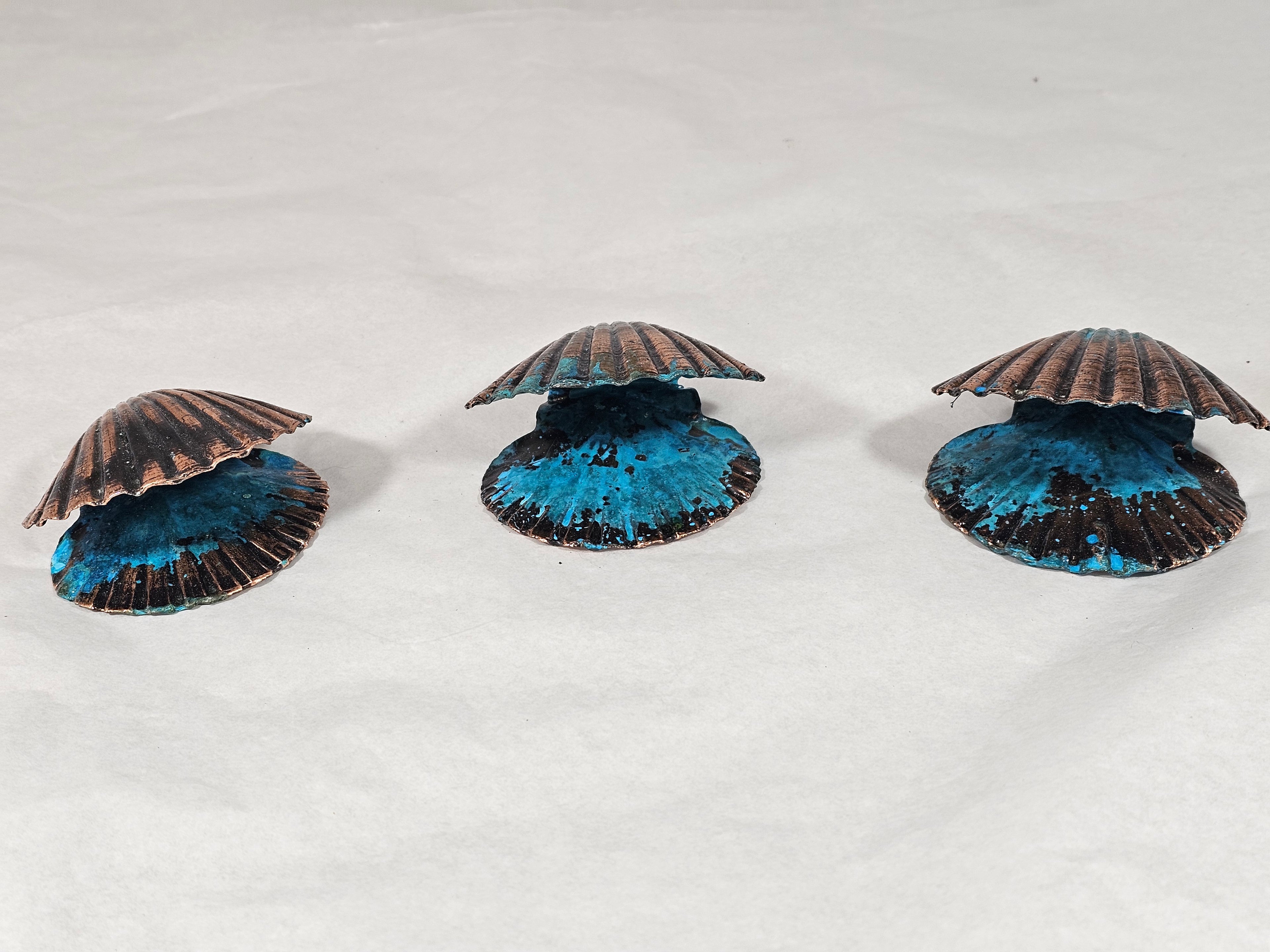 Double Scallop