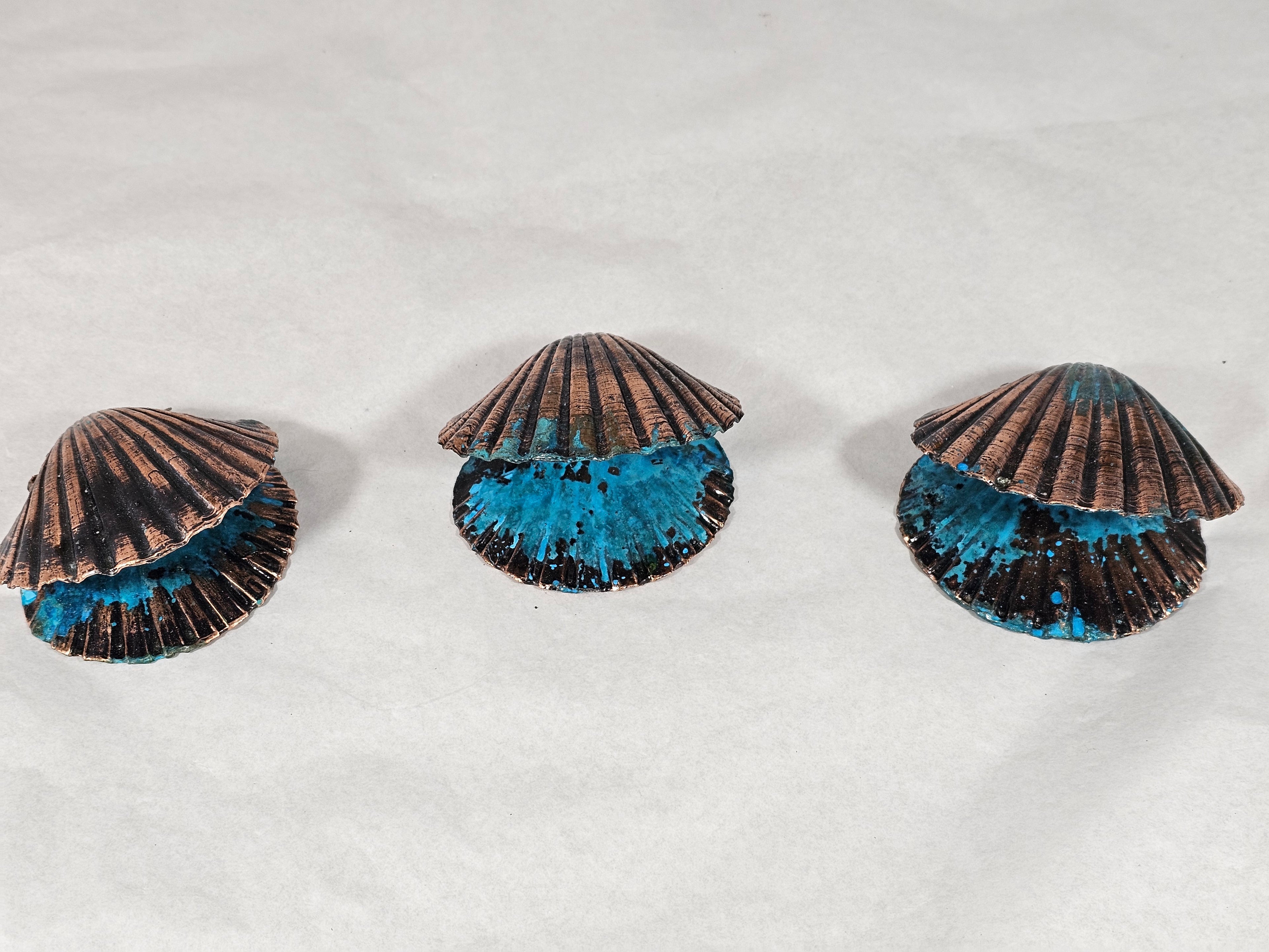 Double Scallop