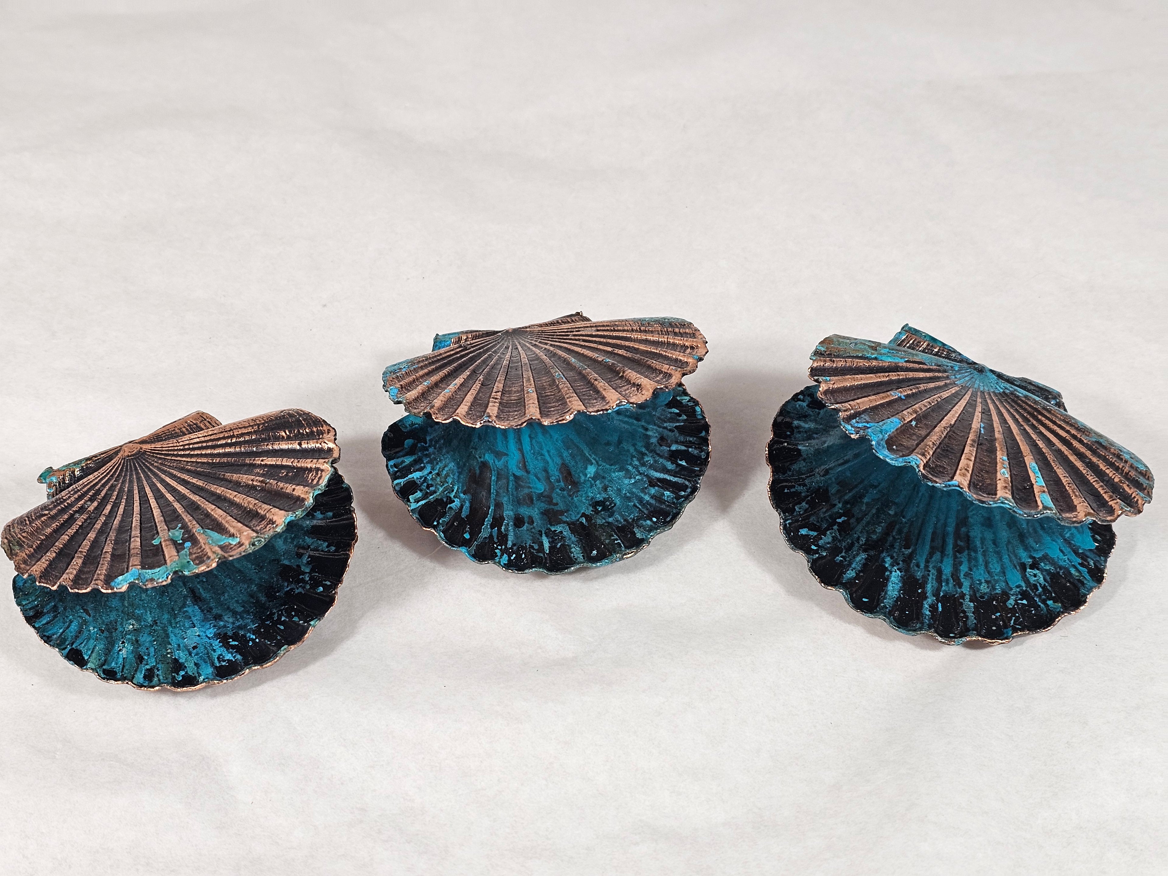 Double Scallop