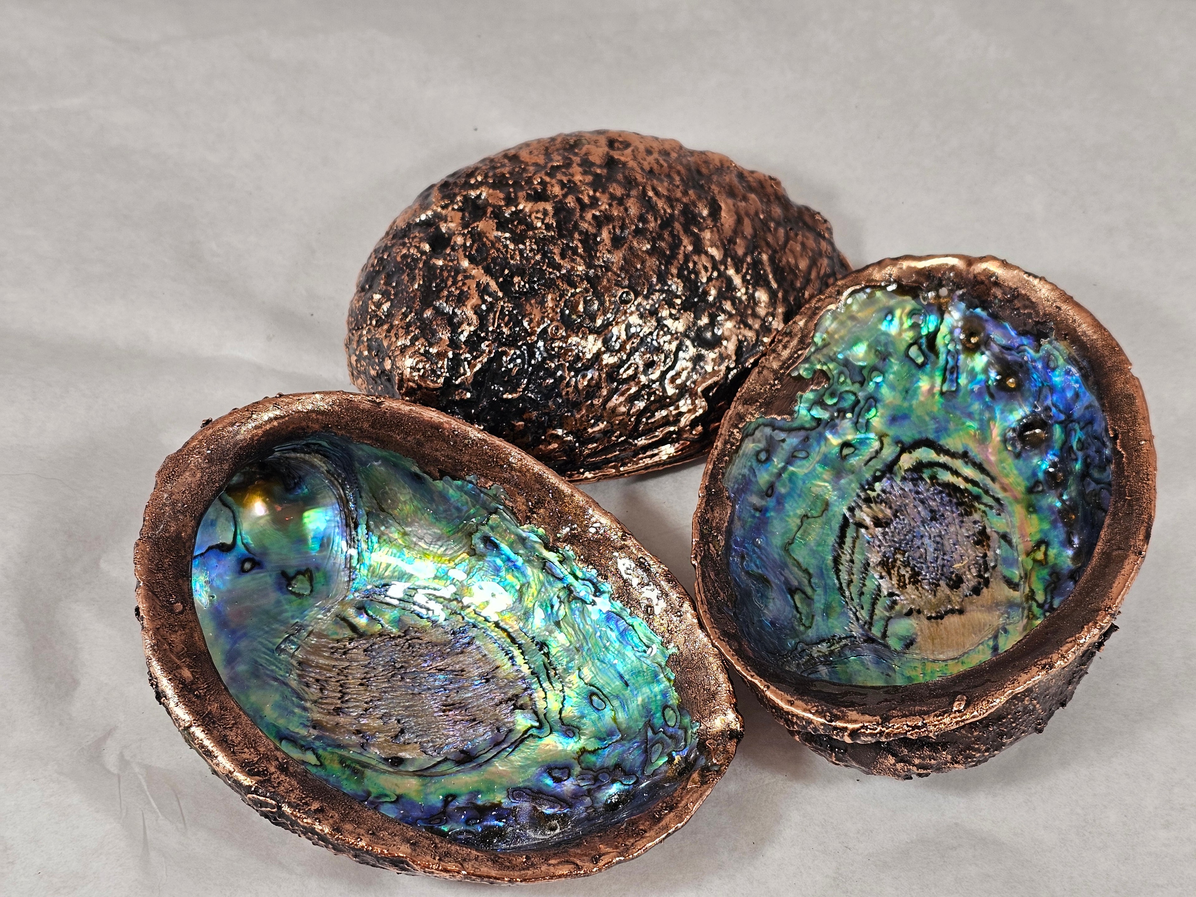 Paua - Copper