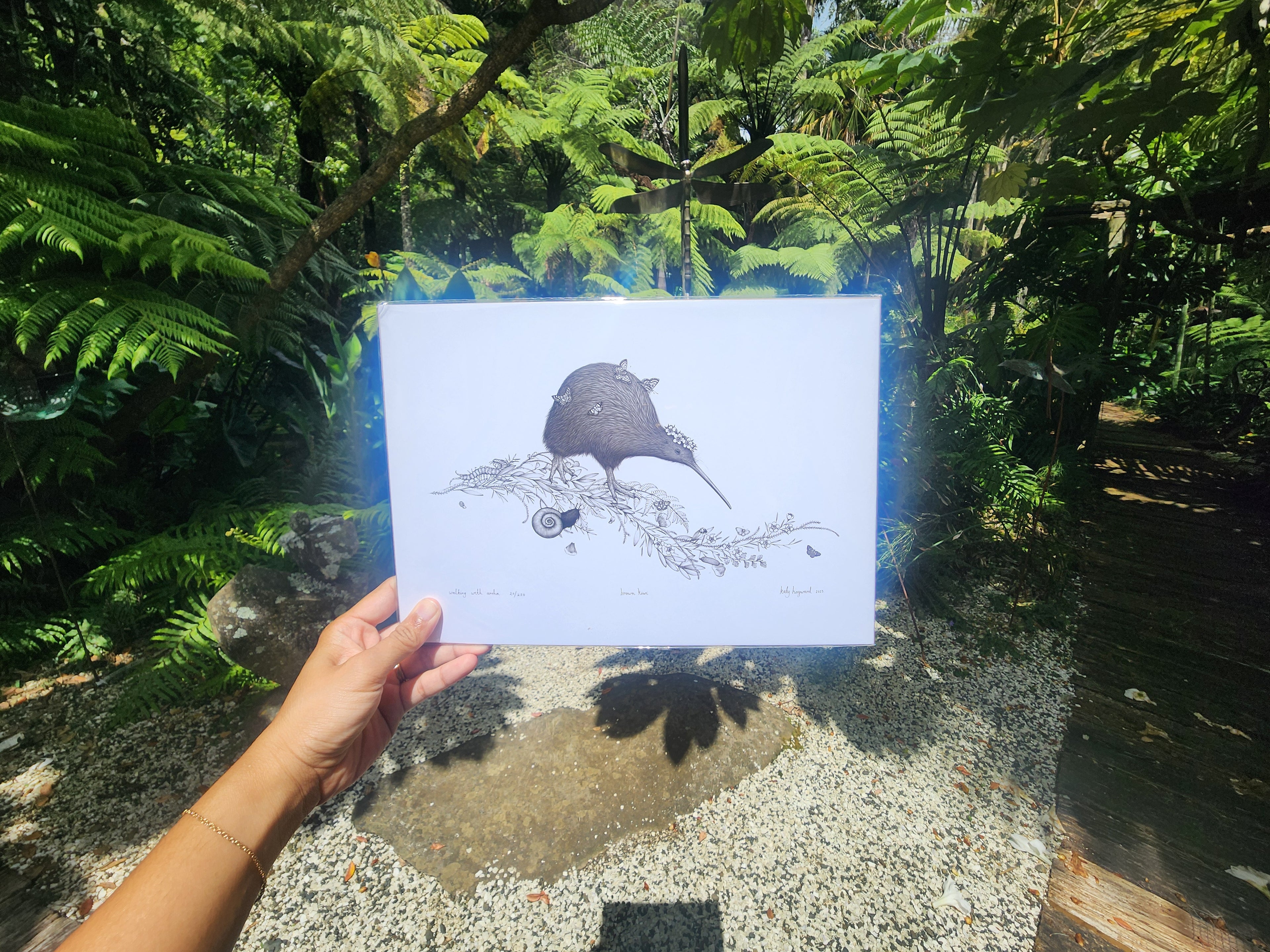 Limited Edition - Paper Prints