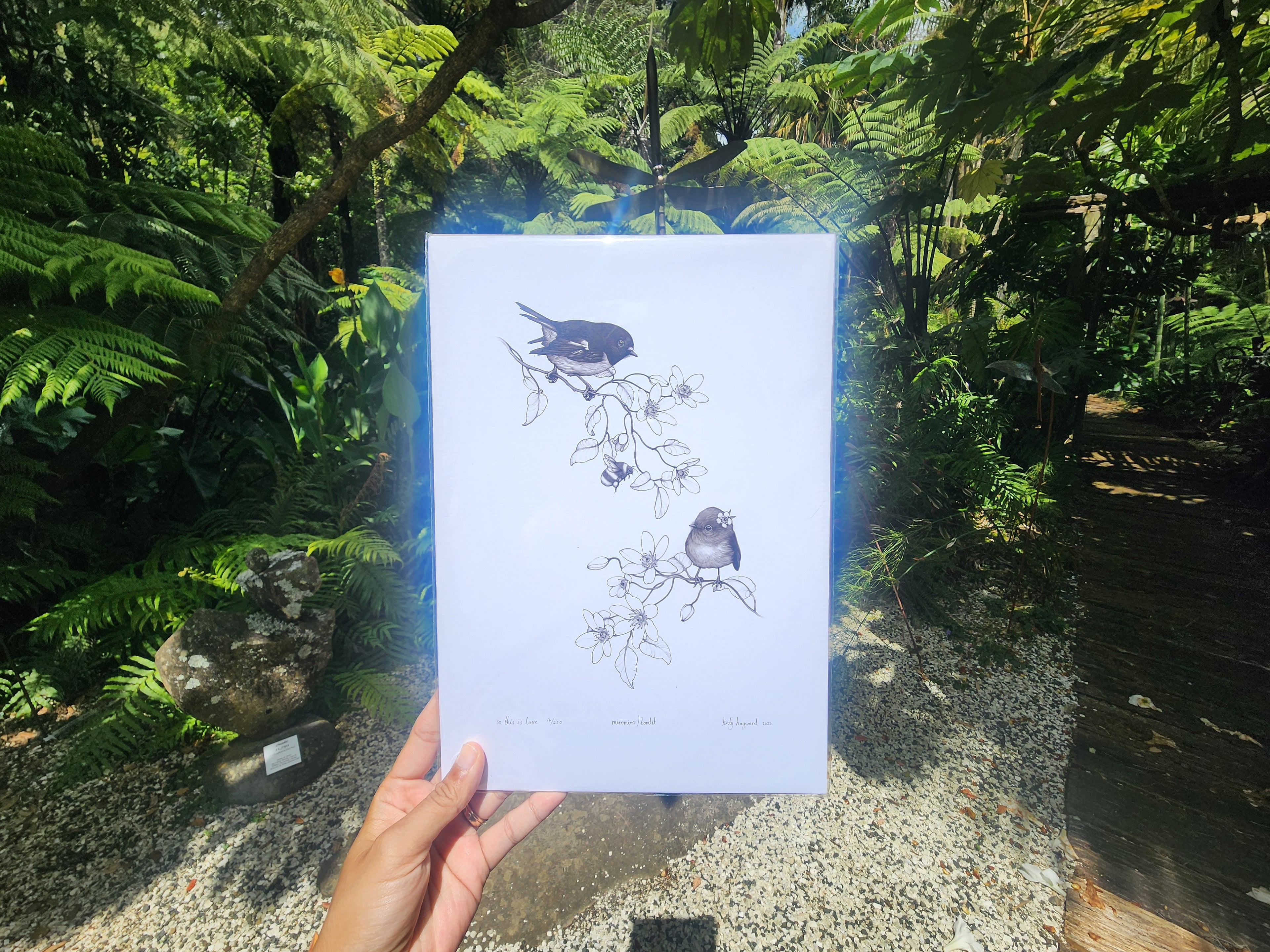 Limited Edition - Paper Prints