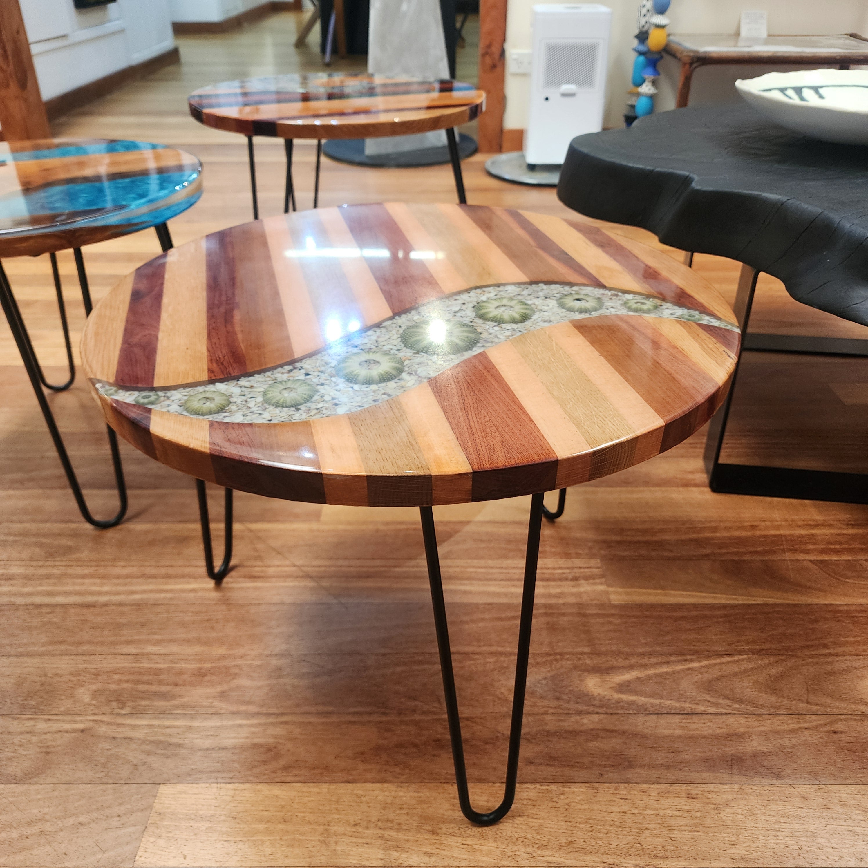 Kina Shell - Coffee Table