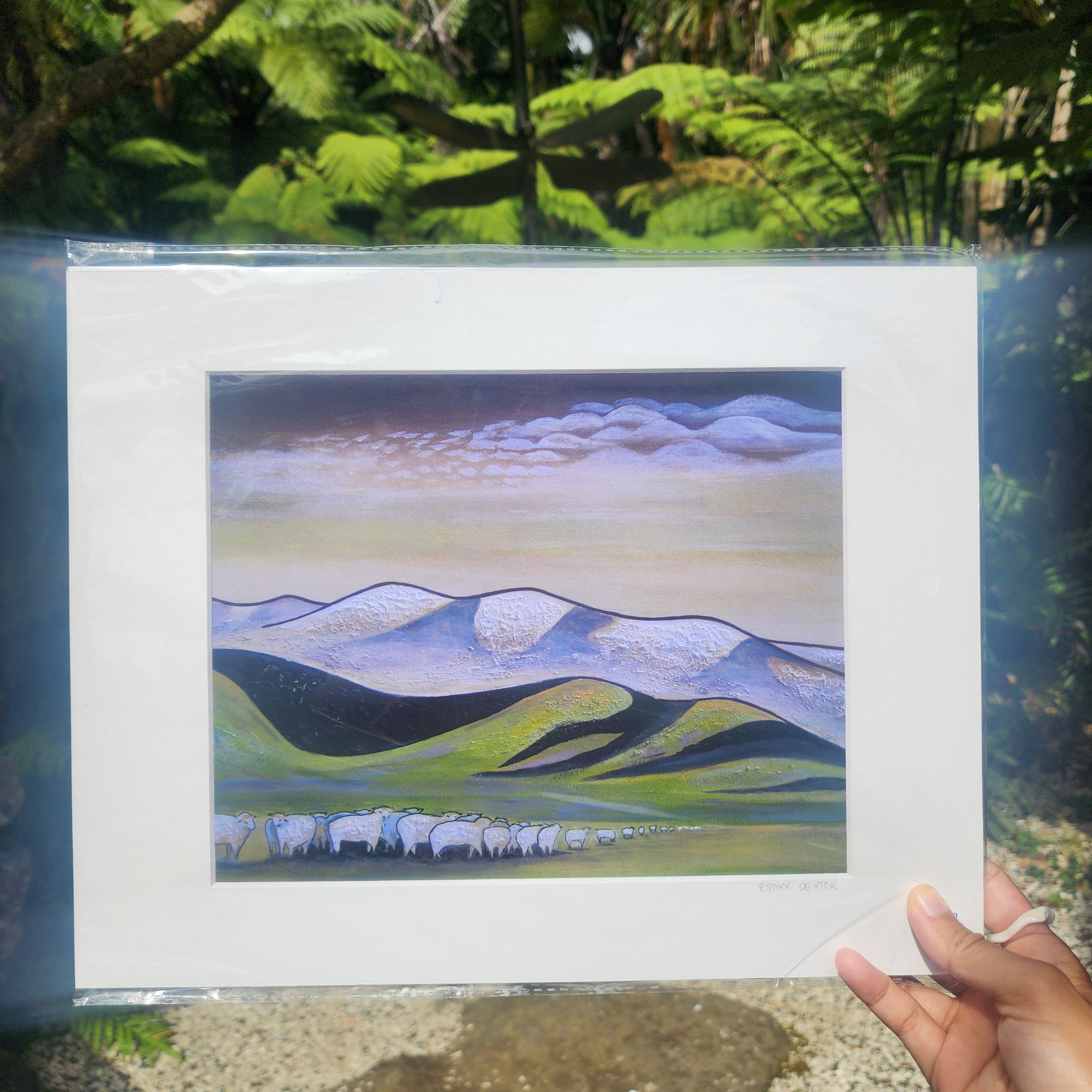 Sheep Clouds - Paper Print