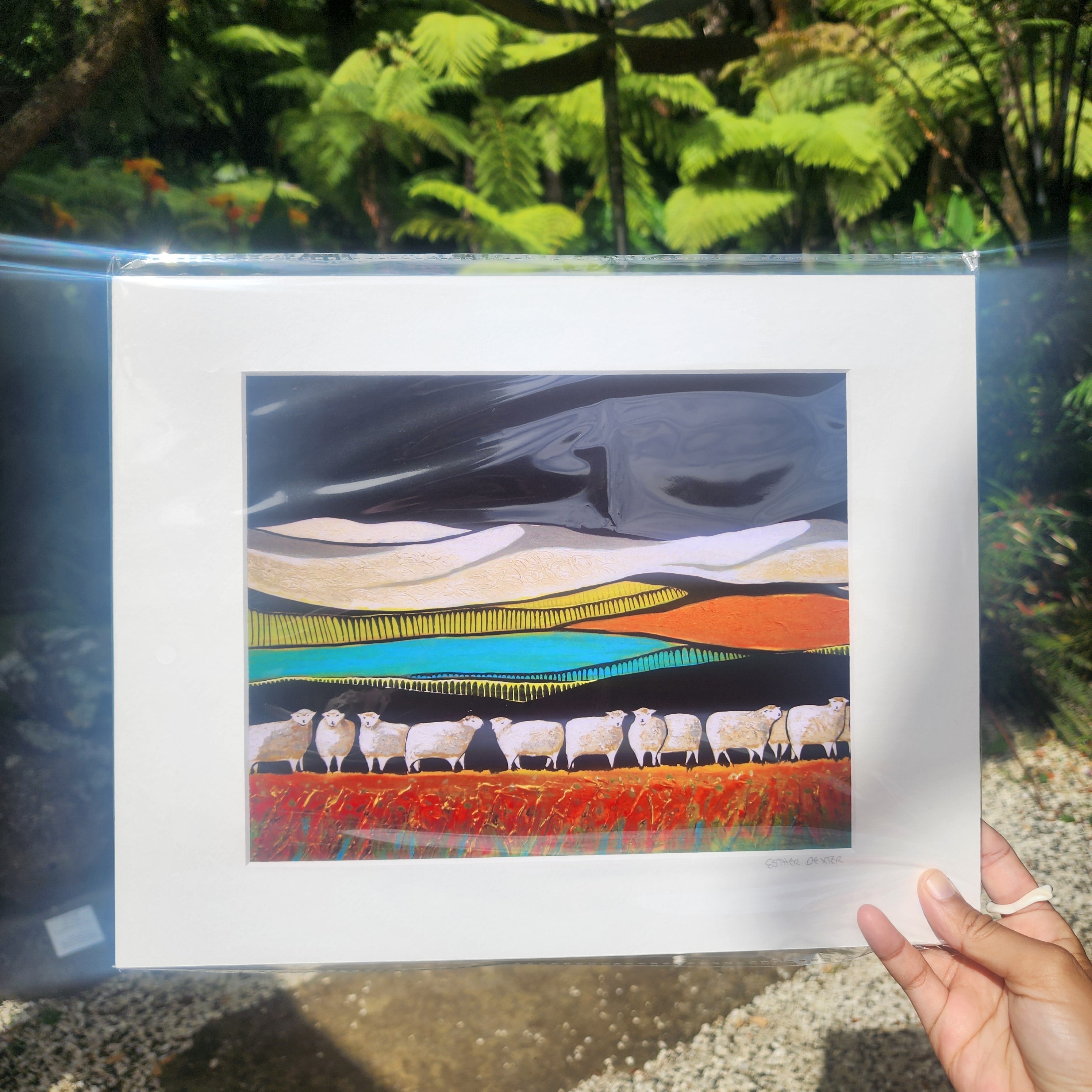 Southern Ewes - Paper Print