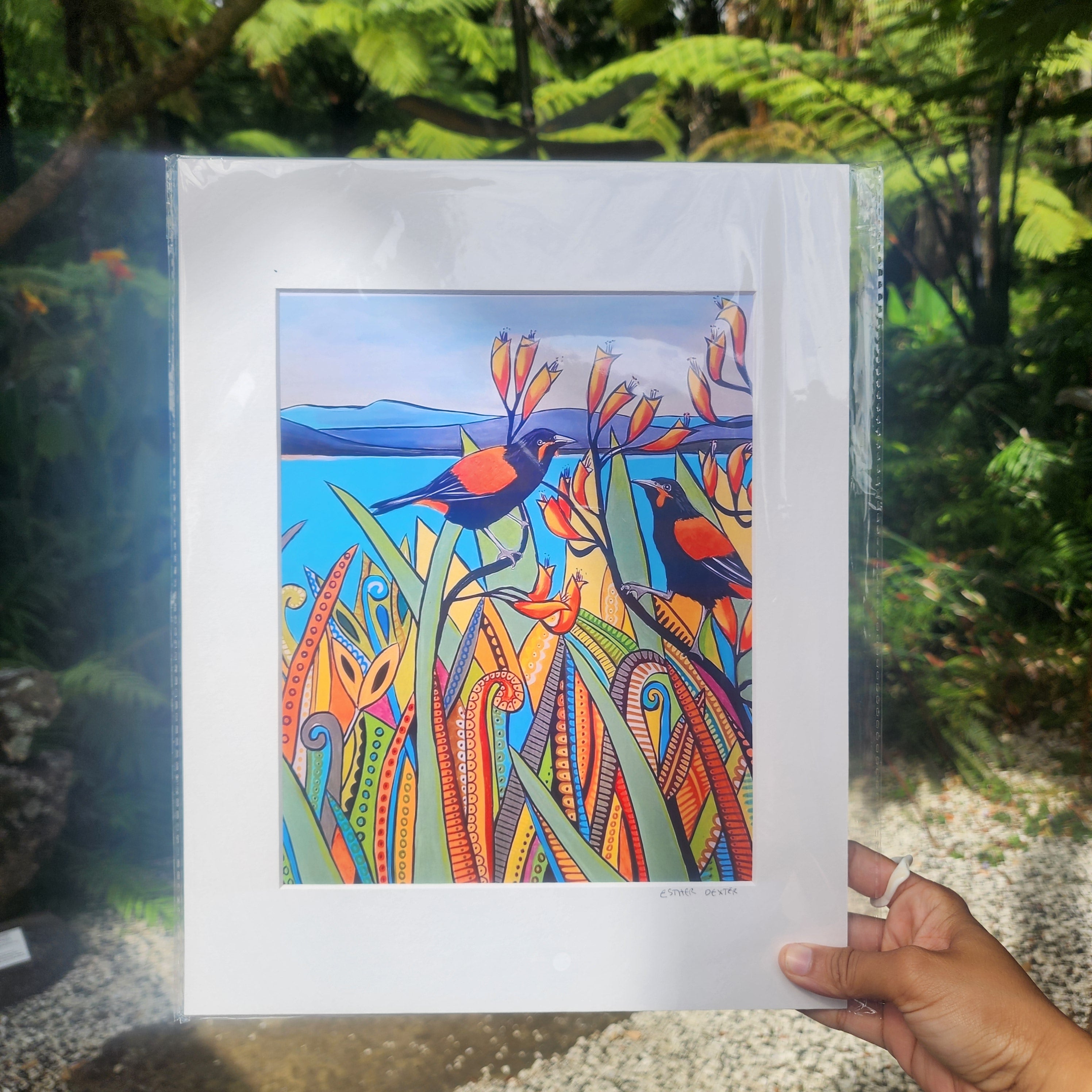 Island Tieke - Paper Print