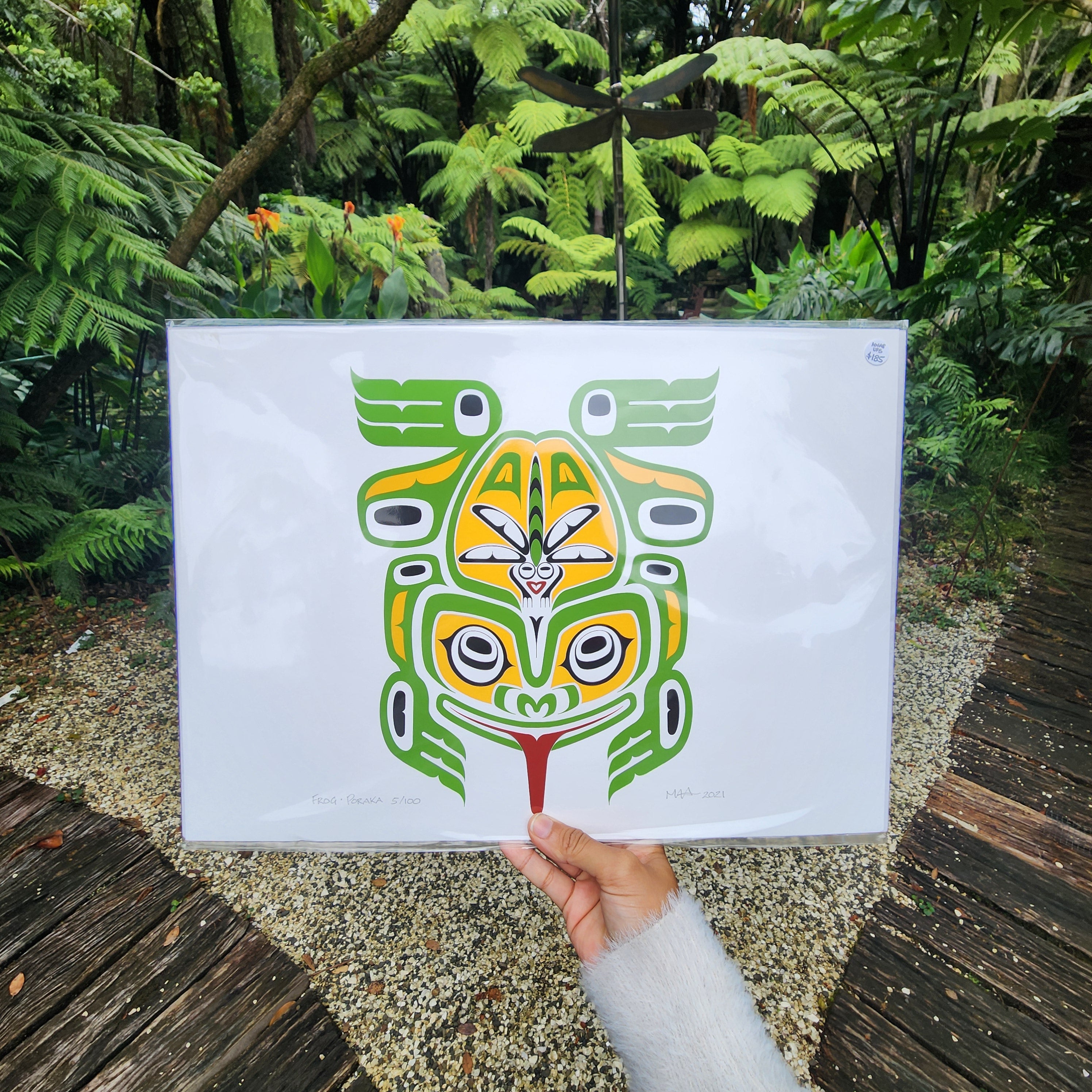 Frog, Poraka - Paper Print