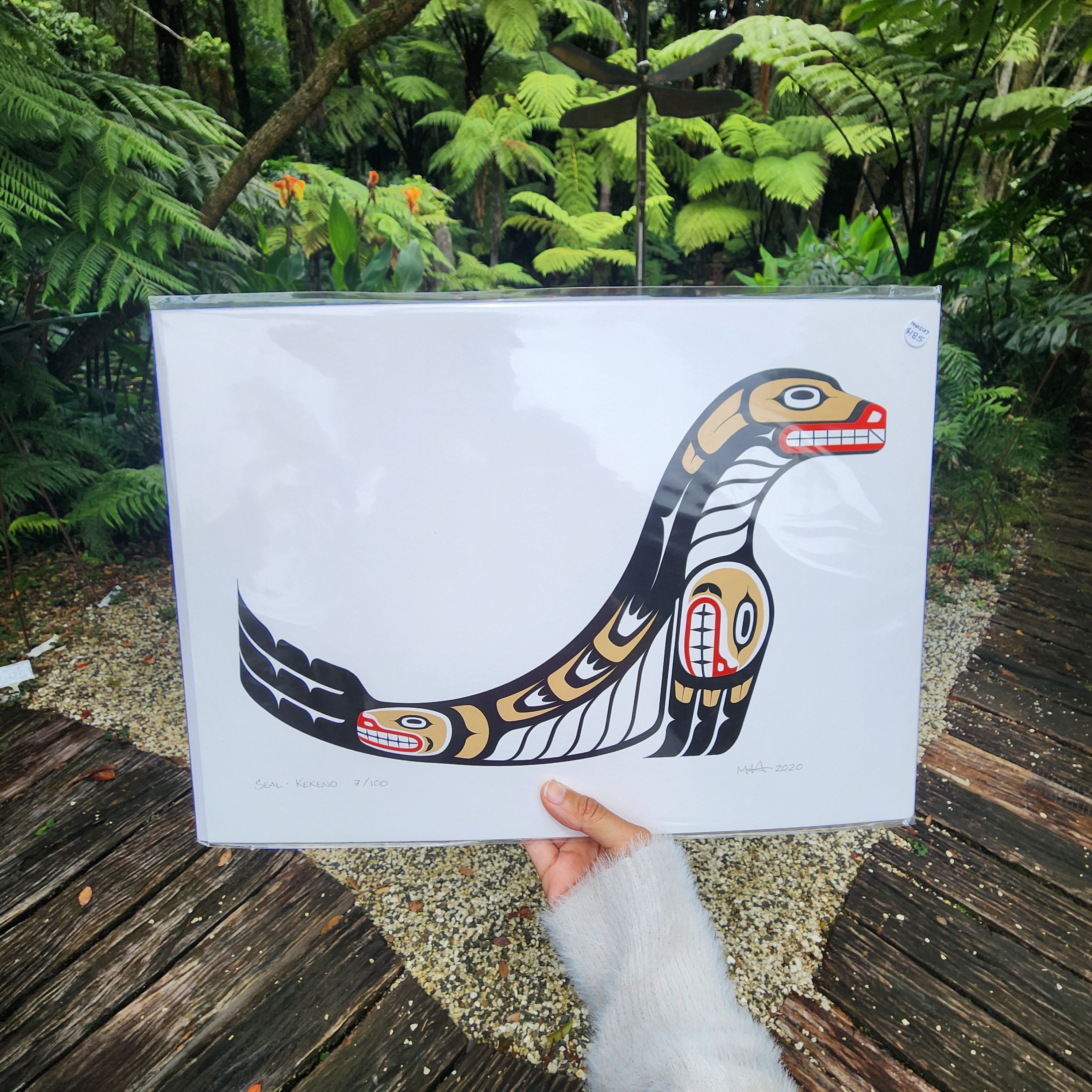 Seal, Kekeno  - Paper Print