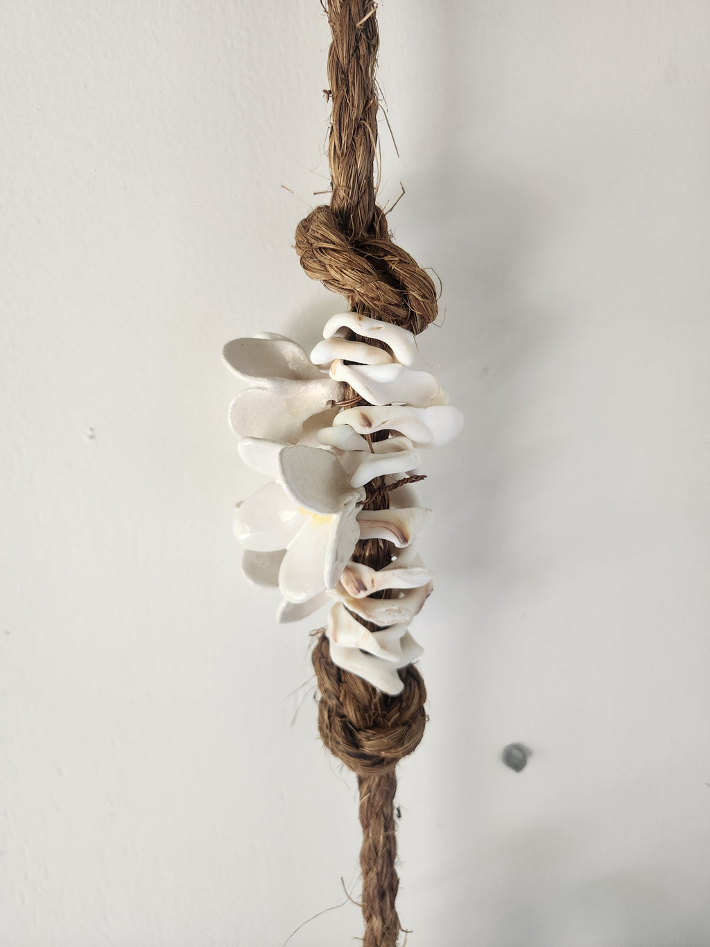 Hooks with Shells - Wall Hanging