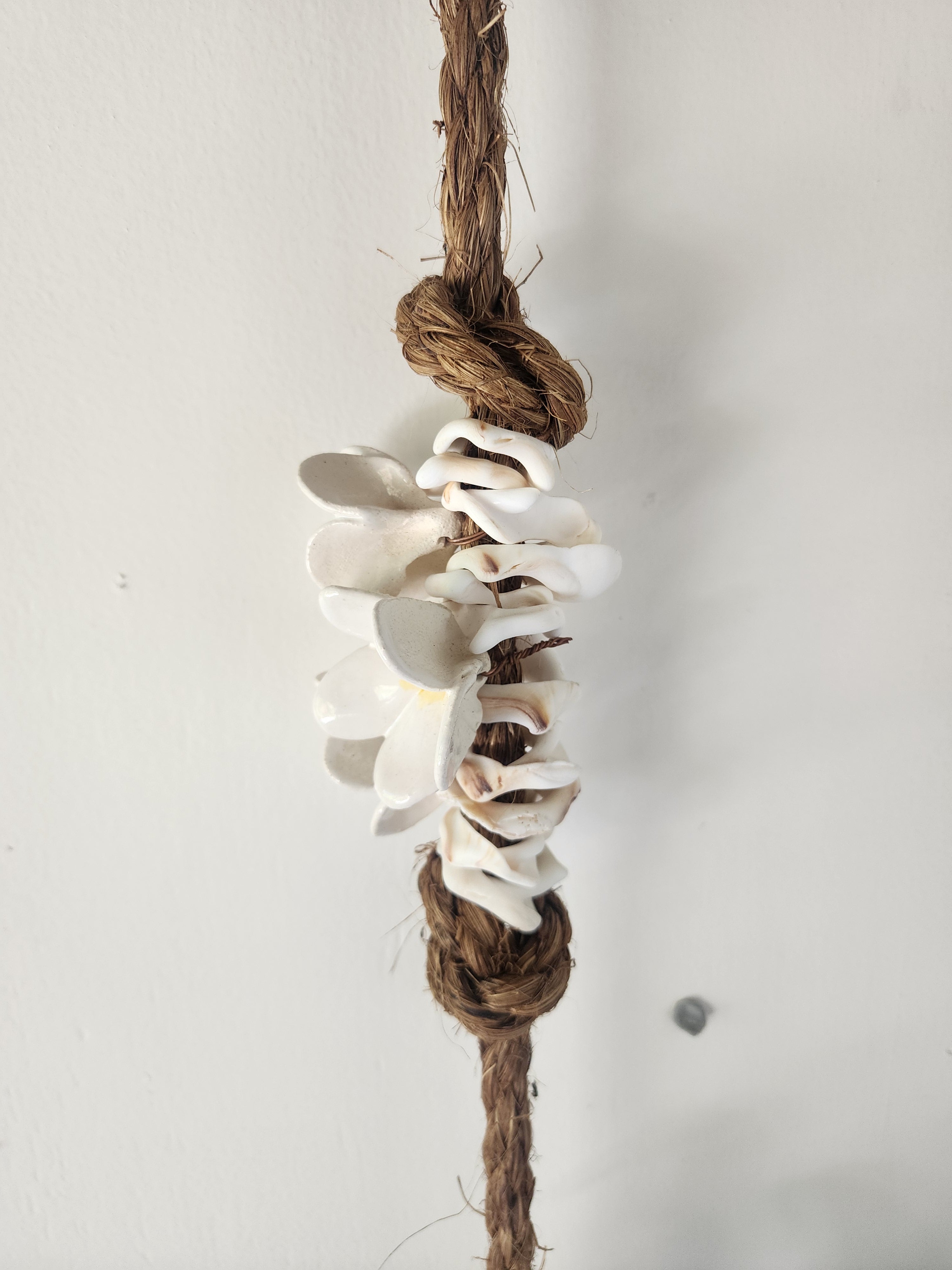 Hooks with Shells - Wall Hanging