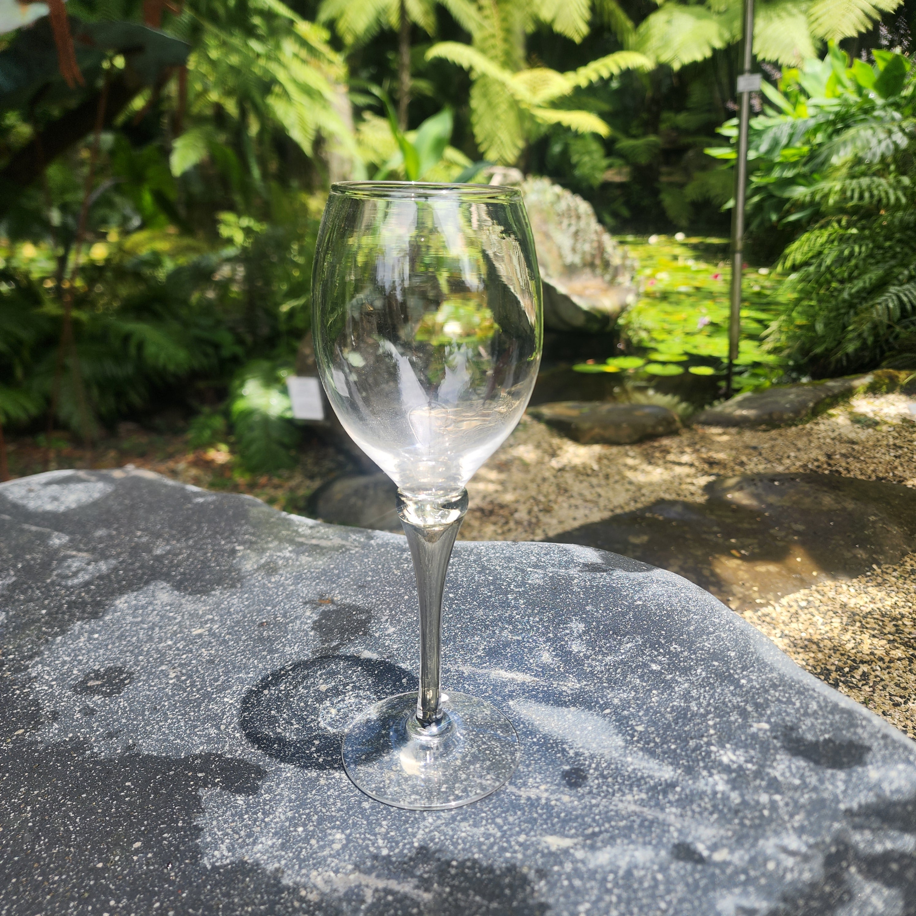 Wine Glass