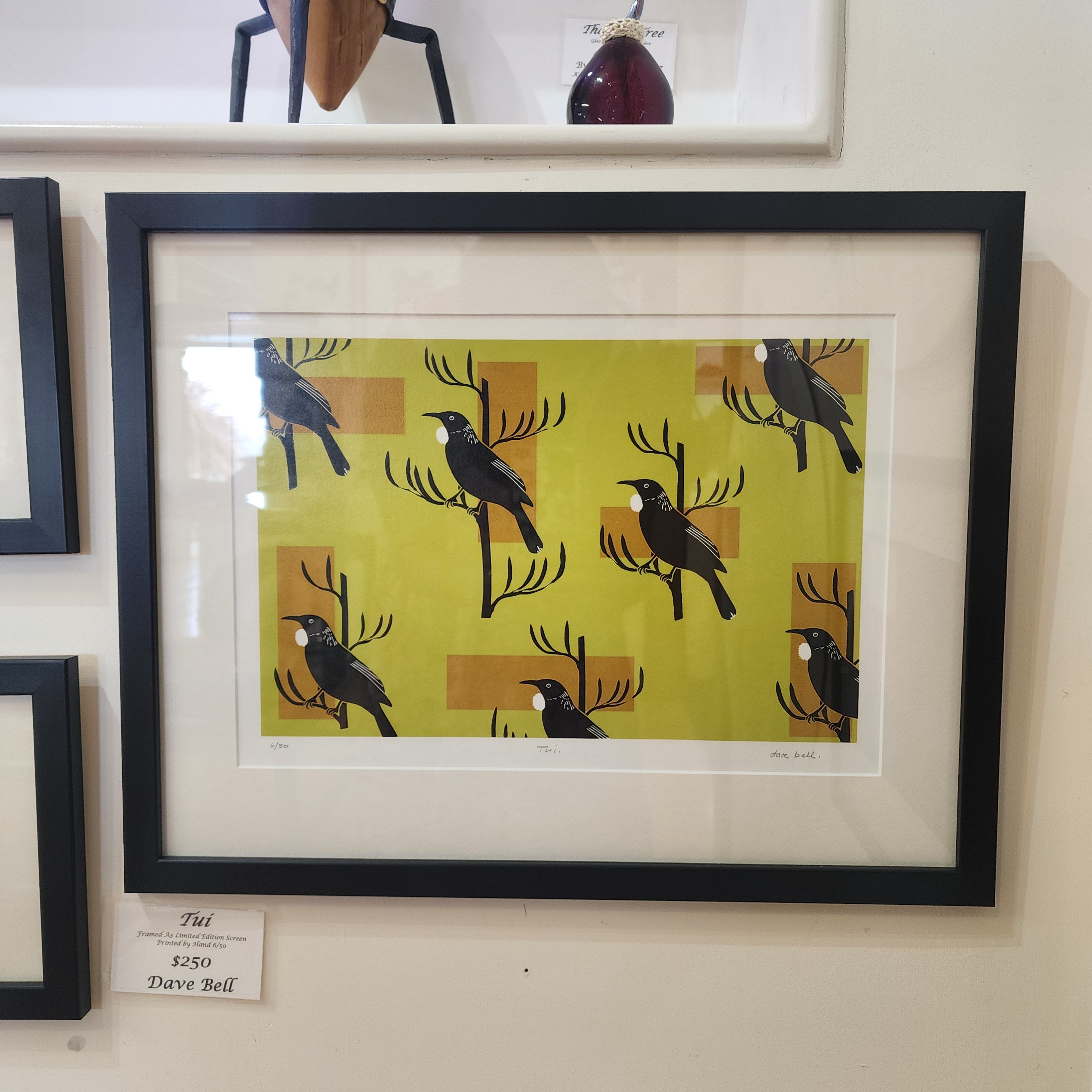 Tui - Framed Print