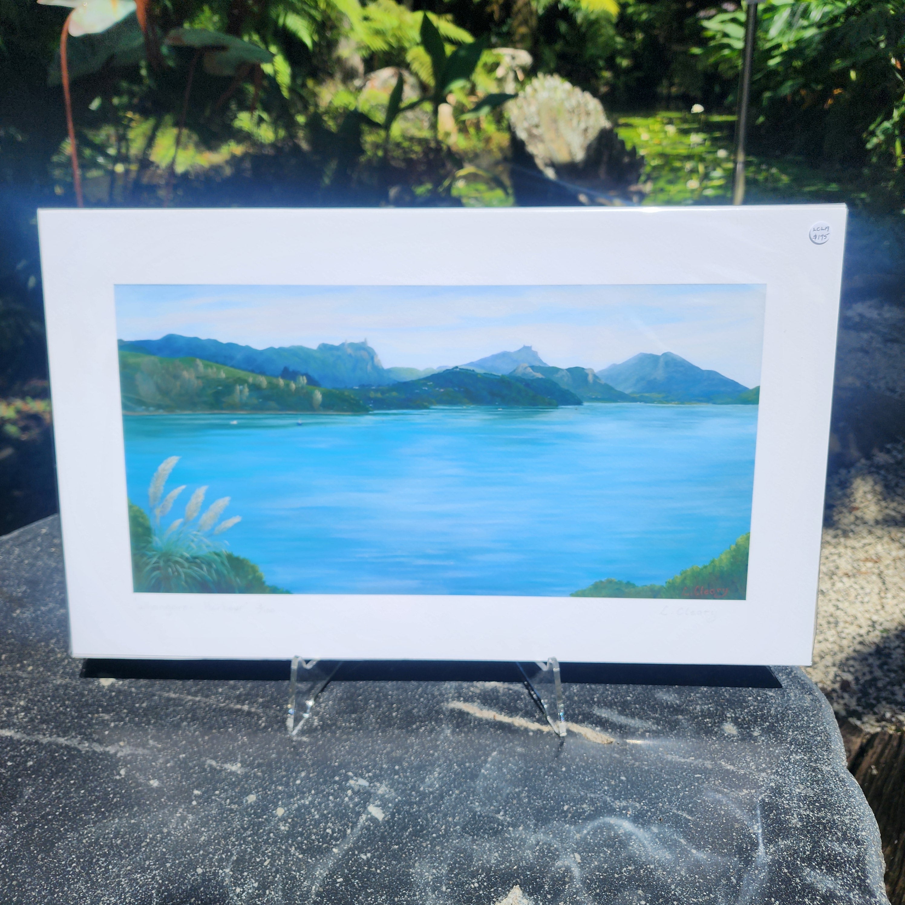 Whangarei Harbour - Paper Print