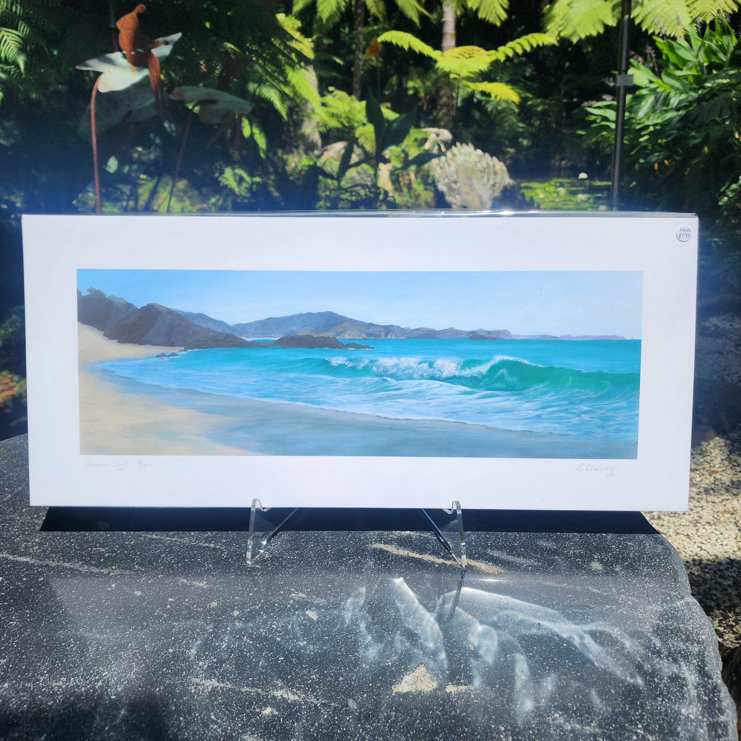 Ocean Light, Ocean Beach - Paper Print