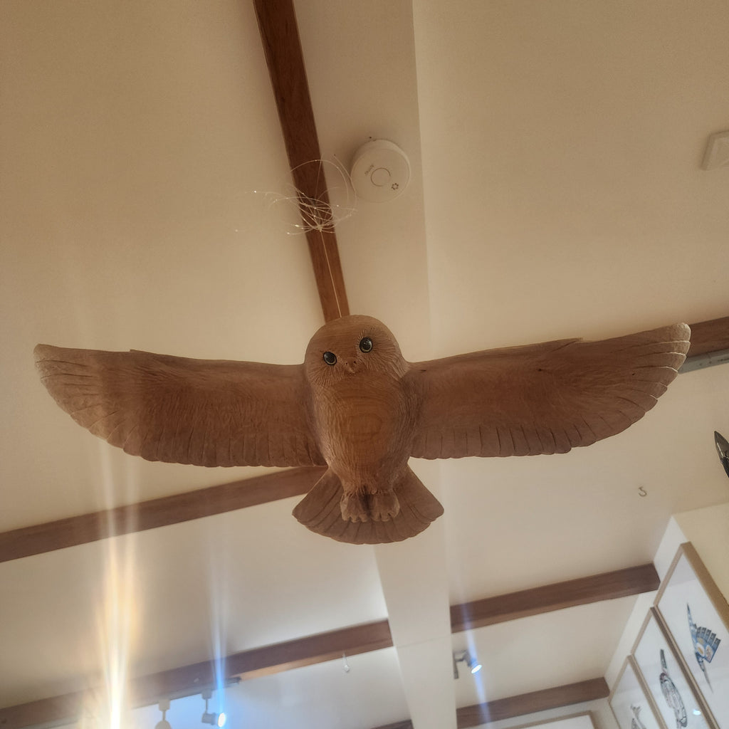 Owl in Flight