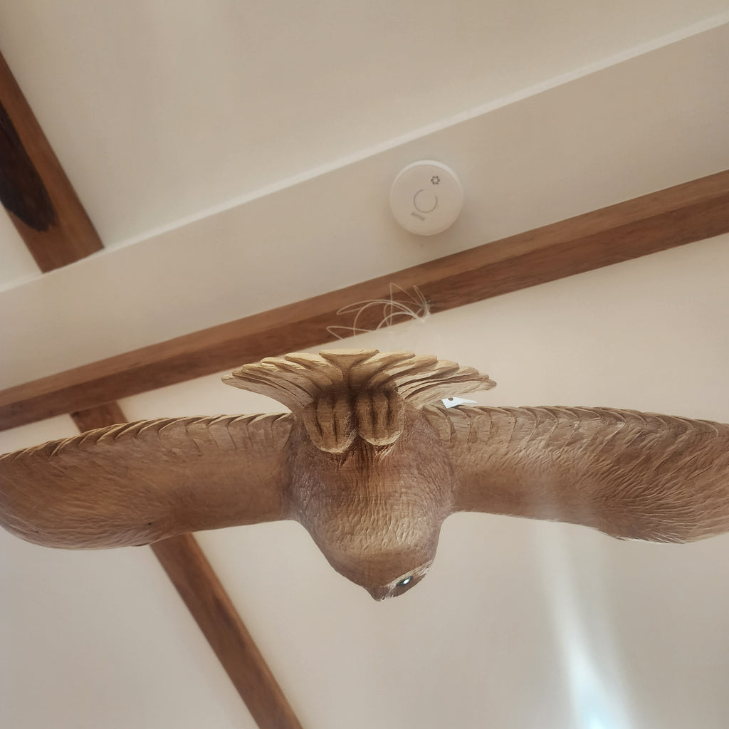 Owl in Flight