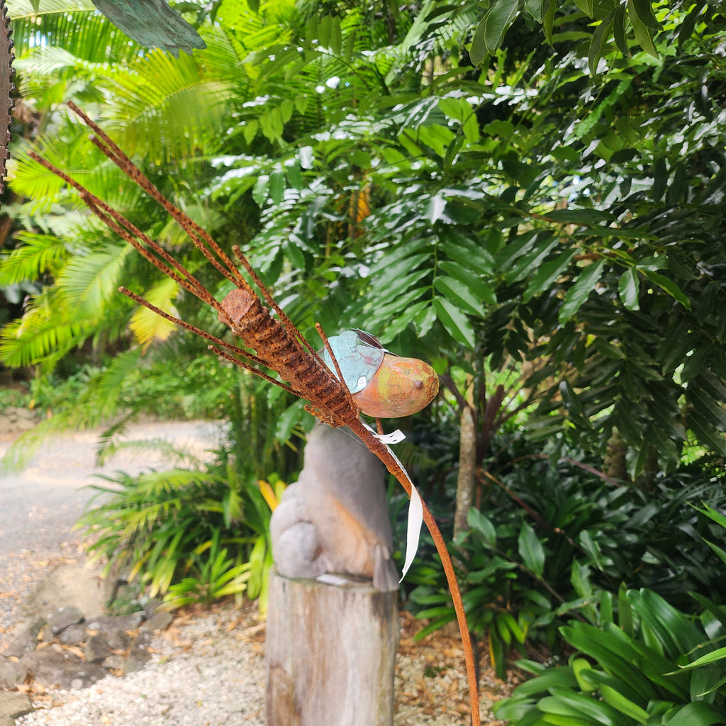 Stem Sparrow
