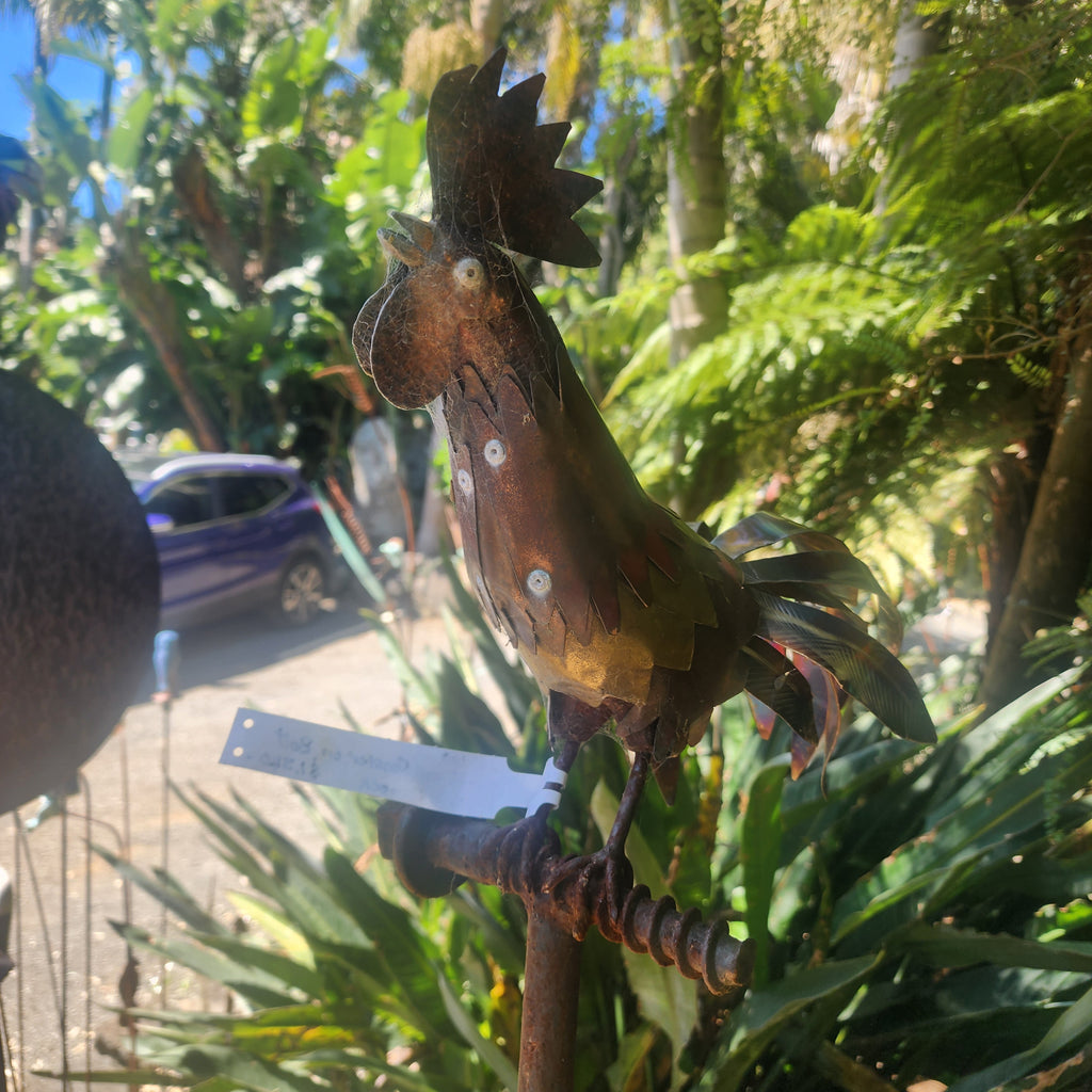 Small Rooster on Bolt