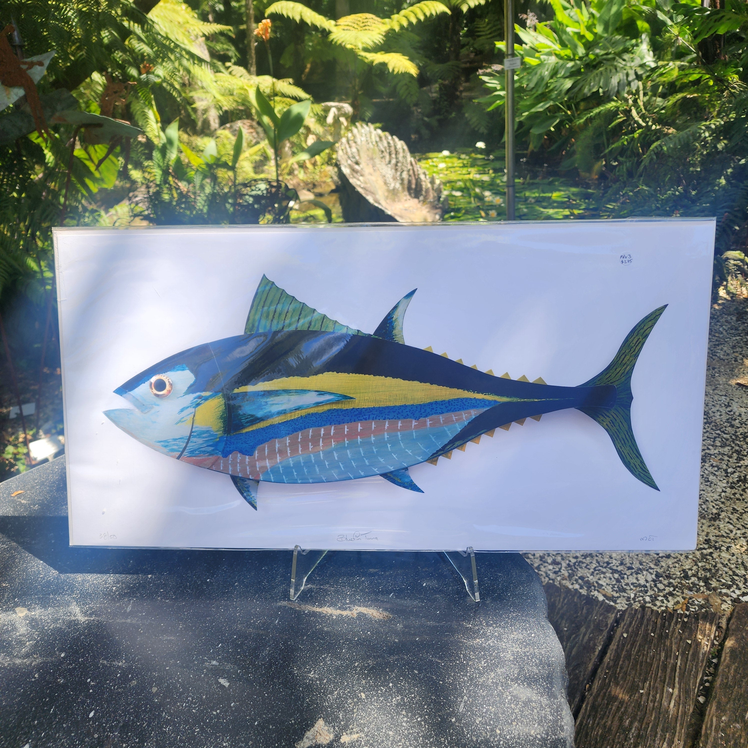 Bluefin Tuna - Paper Print