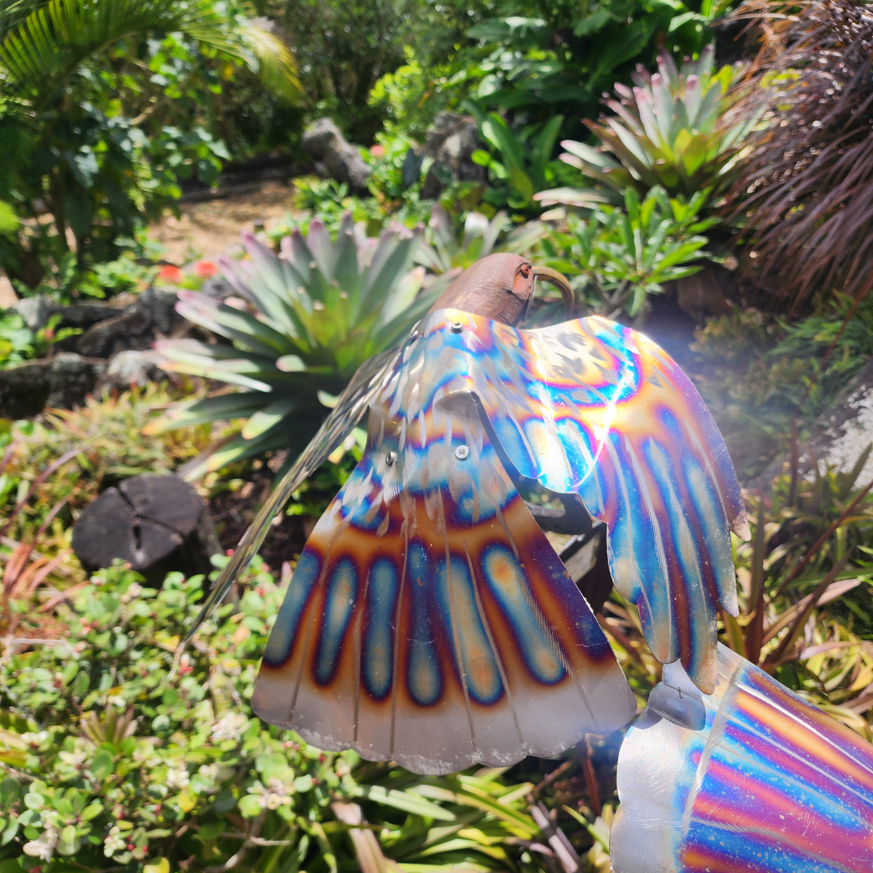 Huia on Horseshoe & Sawblade