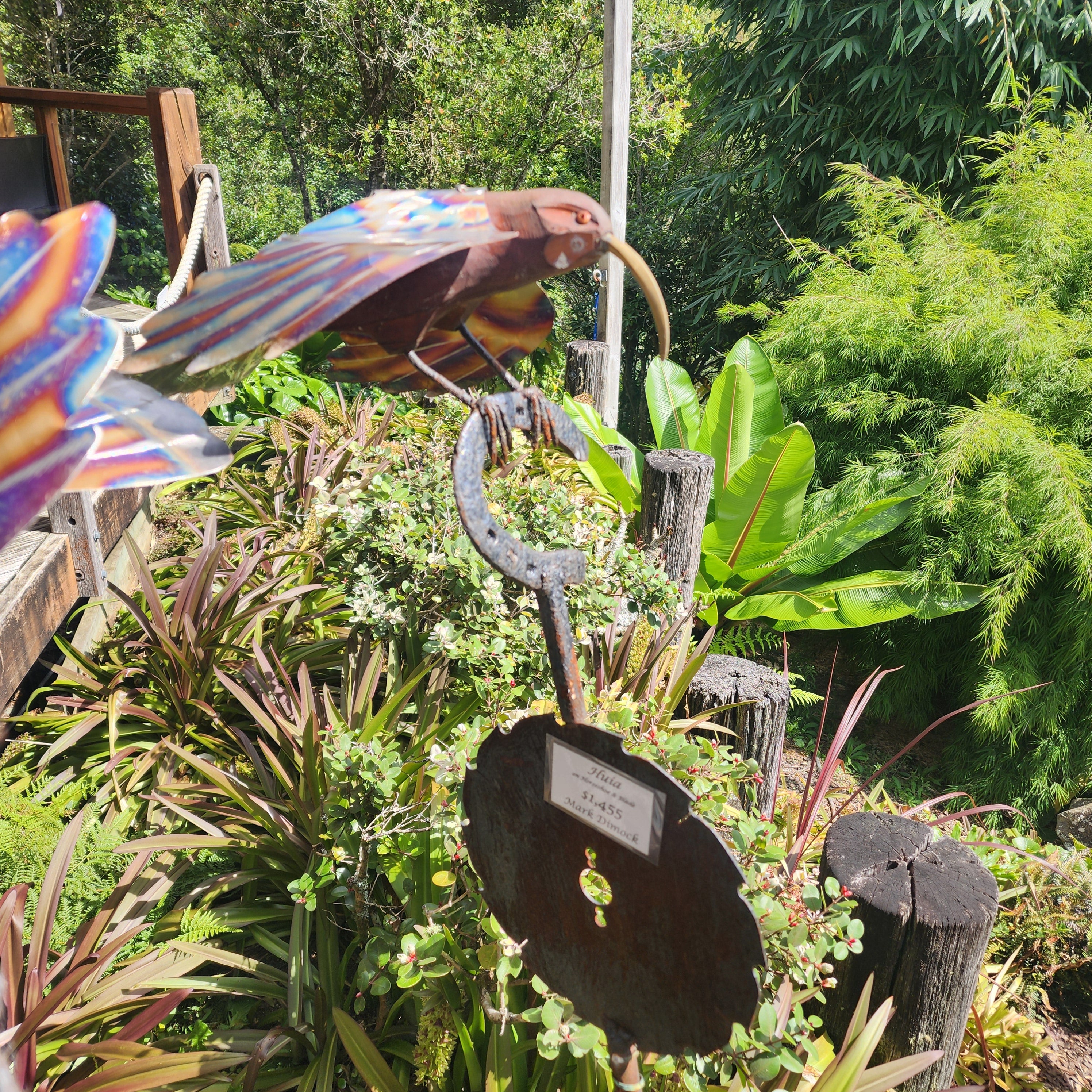 Huia on Horseshoe & Sawblade