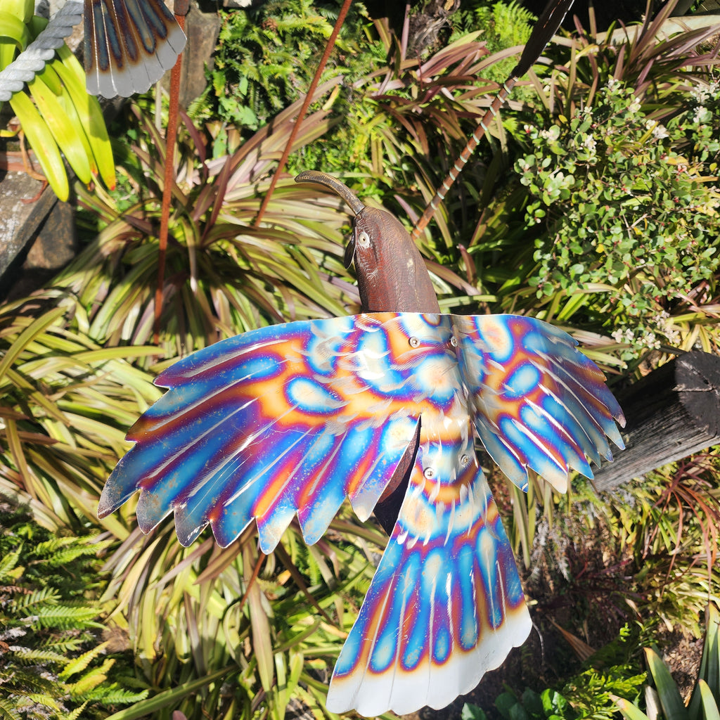 Huia on Horseshoe