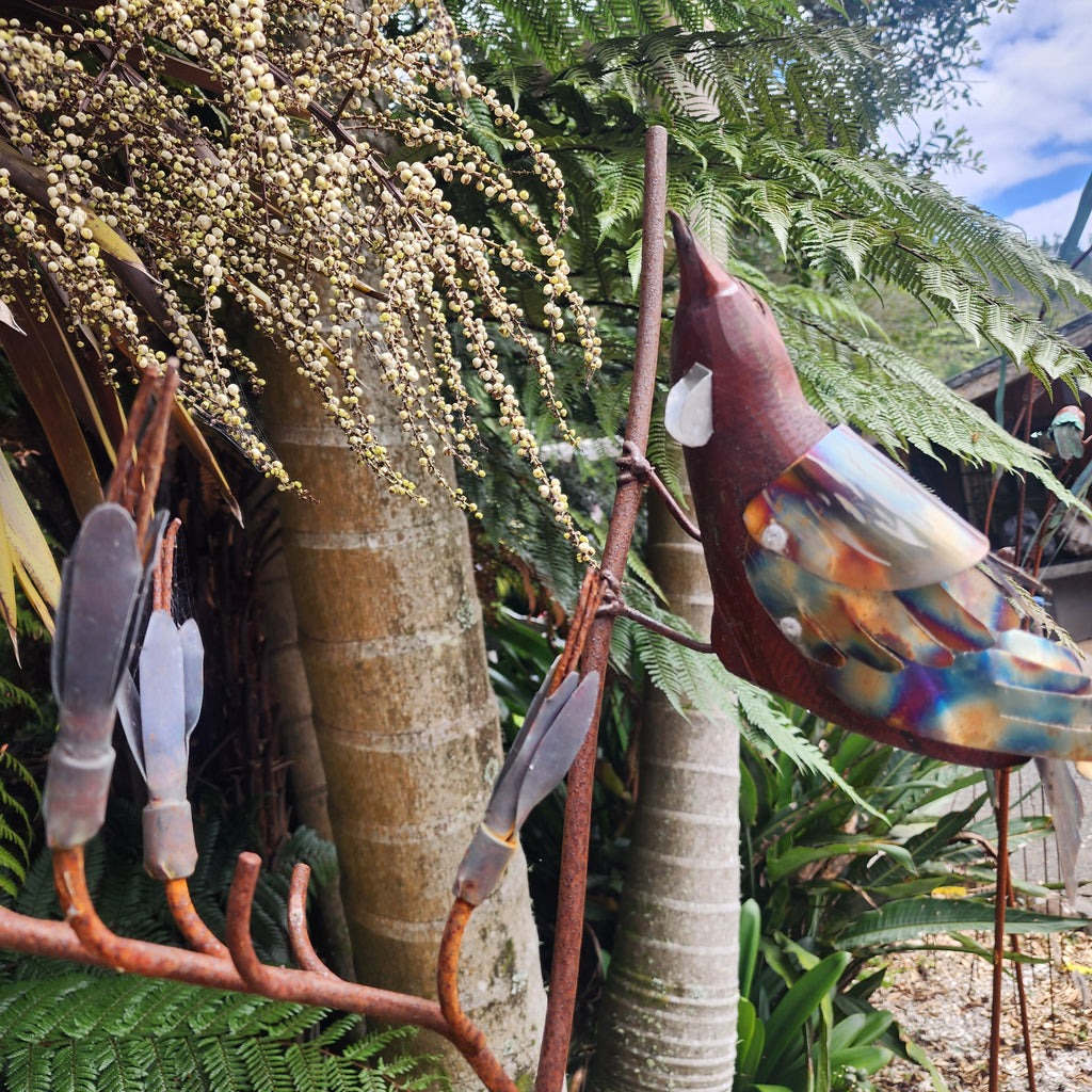 Flax Tui