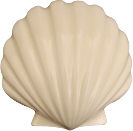 Wall Scallop