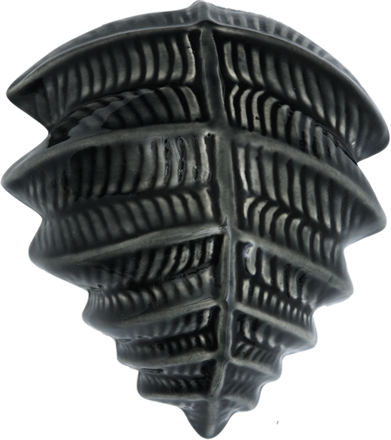 Icon Fern