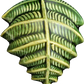 Icon Fern
