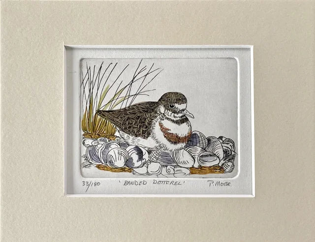 Limited Edition Etching Prints - Birds