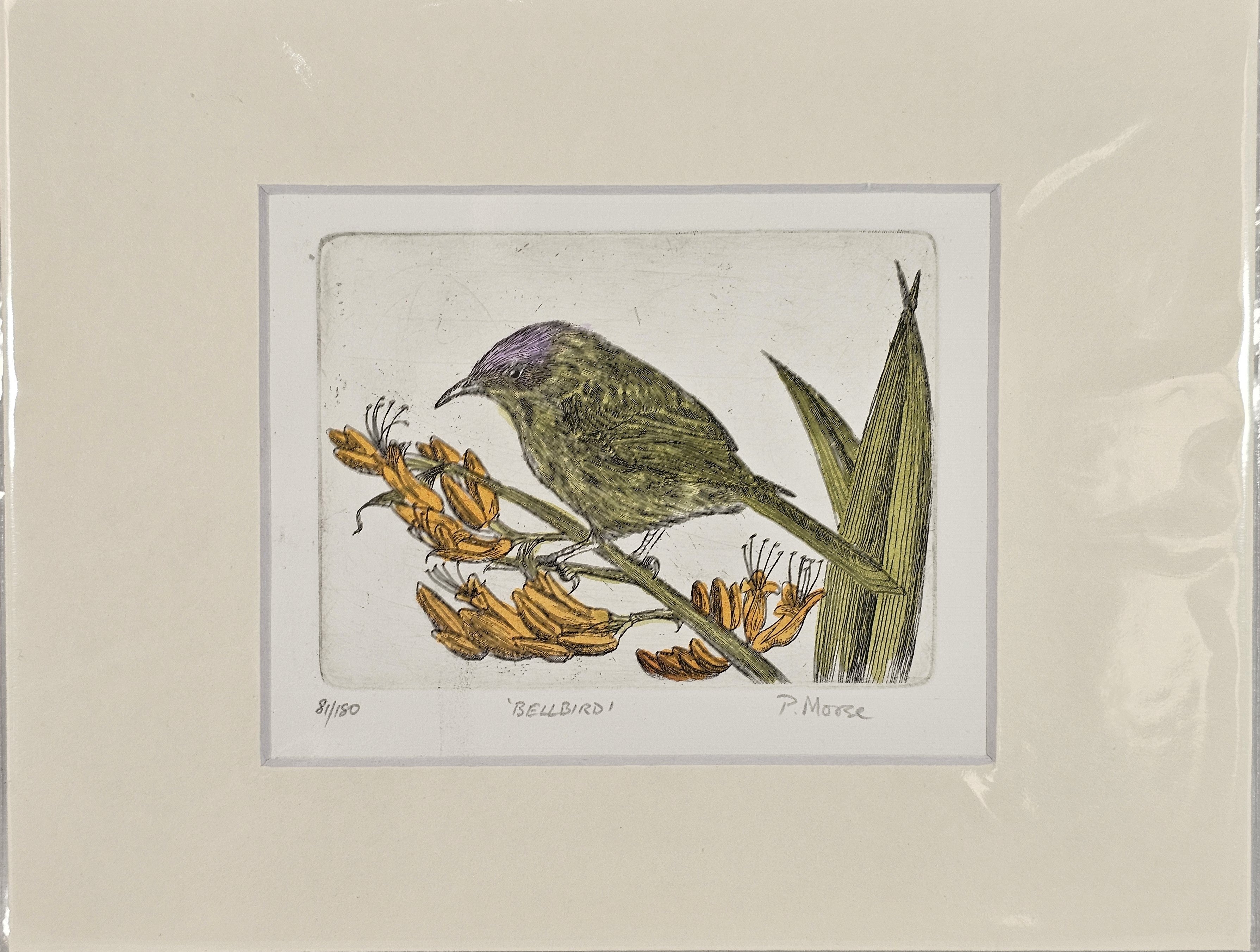 Limited Edition Etching Prints - Birds