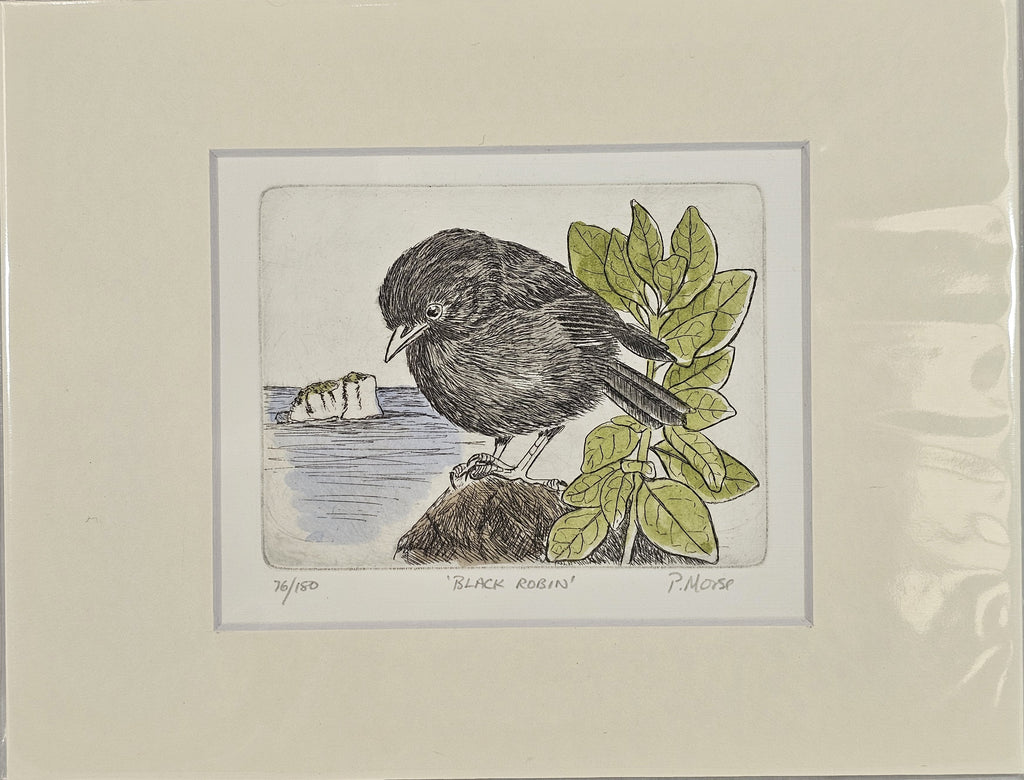 Limited Edition Etching Prints - Birds