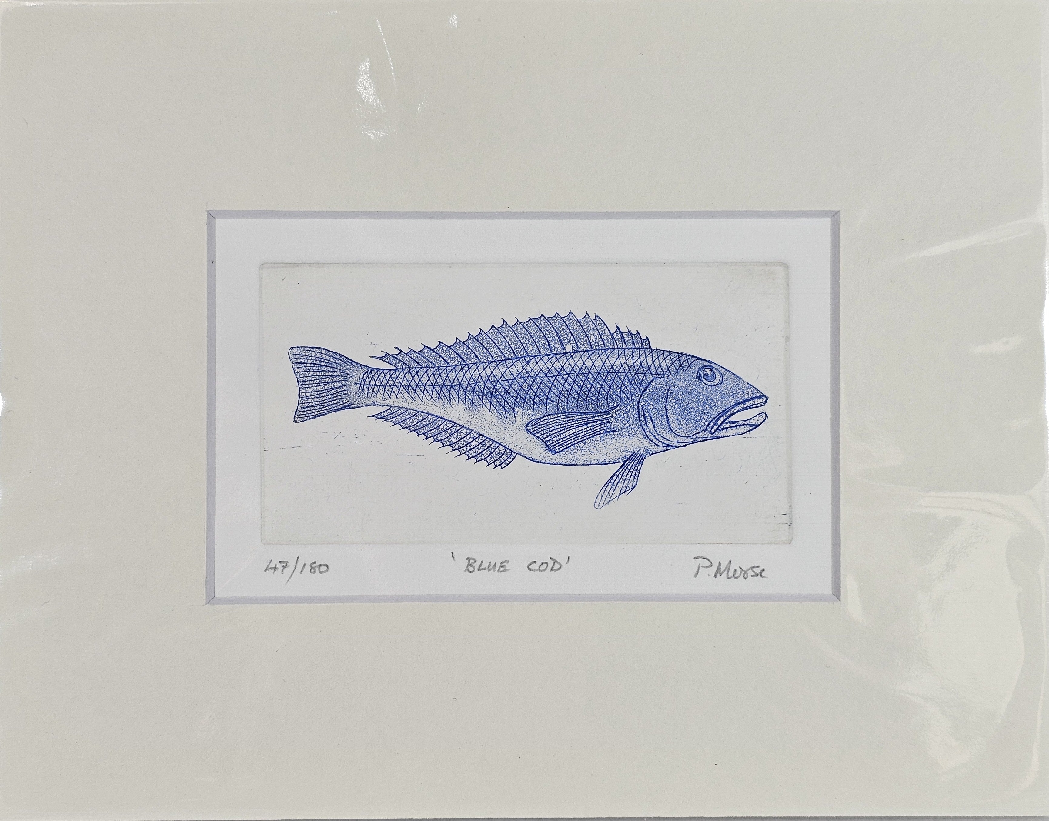 Limited Edition Etching Prints - Bugs and Fish