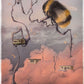 Bumblebee and Baches - Limited Edition Paper Print
