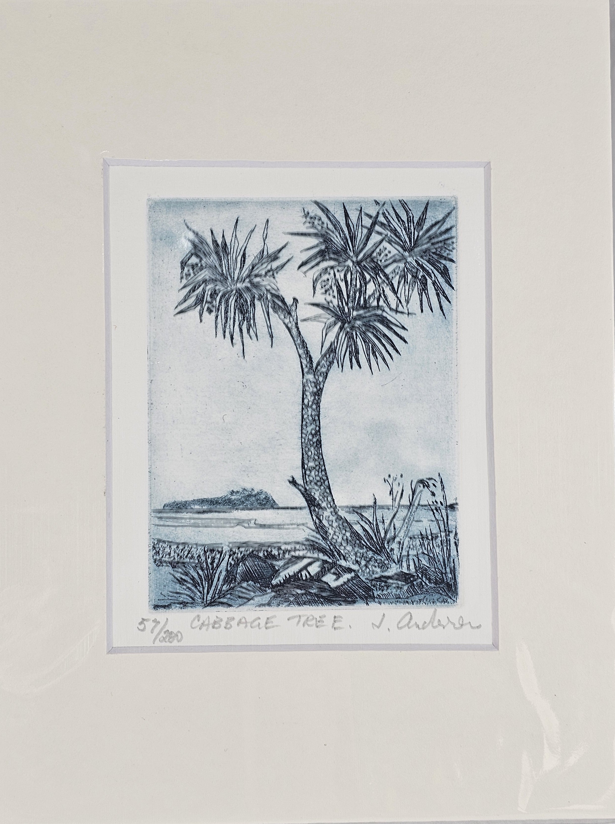 Limited Edition Etching Prints - Flora