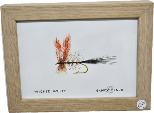 Trout Fly Series - Wicked Wulff