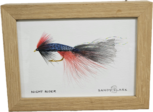 Trout Fly Series - Night Rider