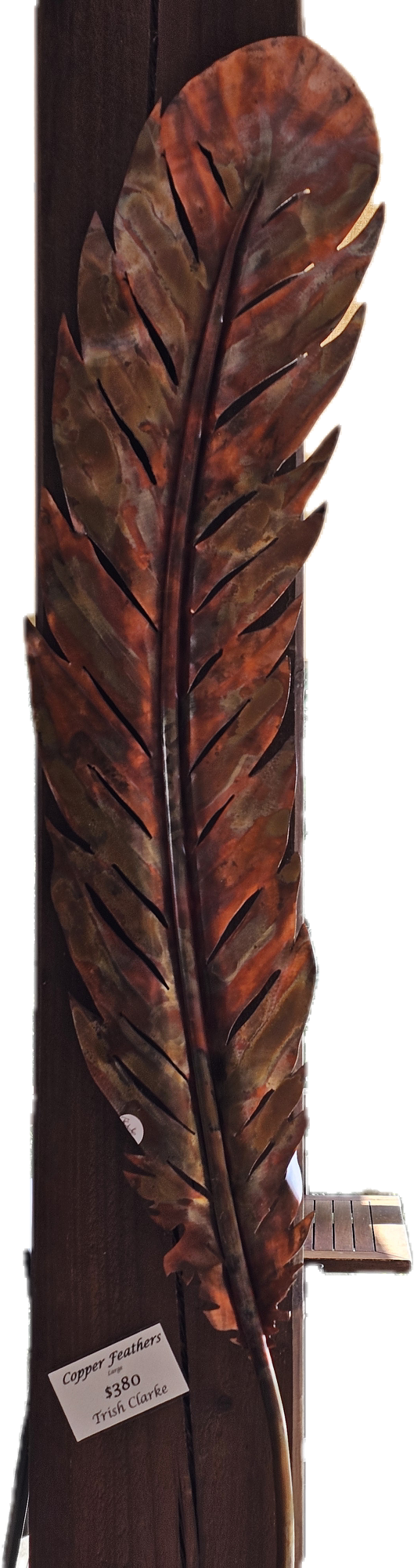 Large Copper Feathers