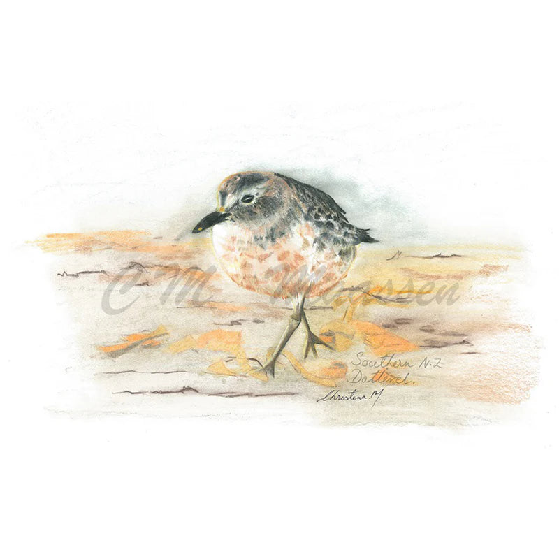 South Island Dotteral - Unframed A3 Print