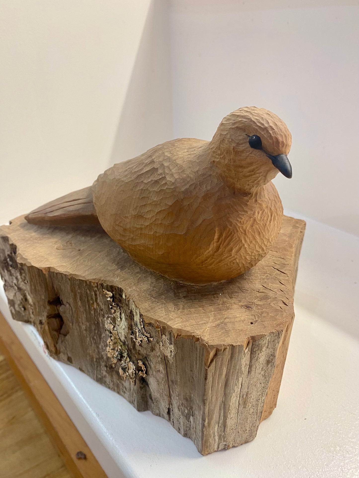 Dove in Fence Post