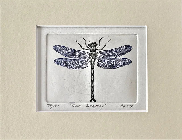 Limited Edition Etching Prints - Bugs and Fish