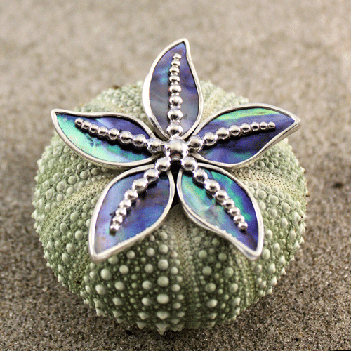 Brooch Sea Star Enhancer