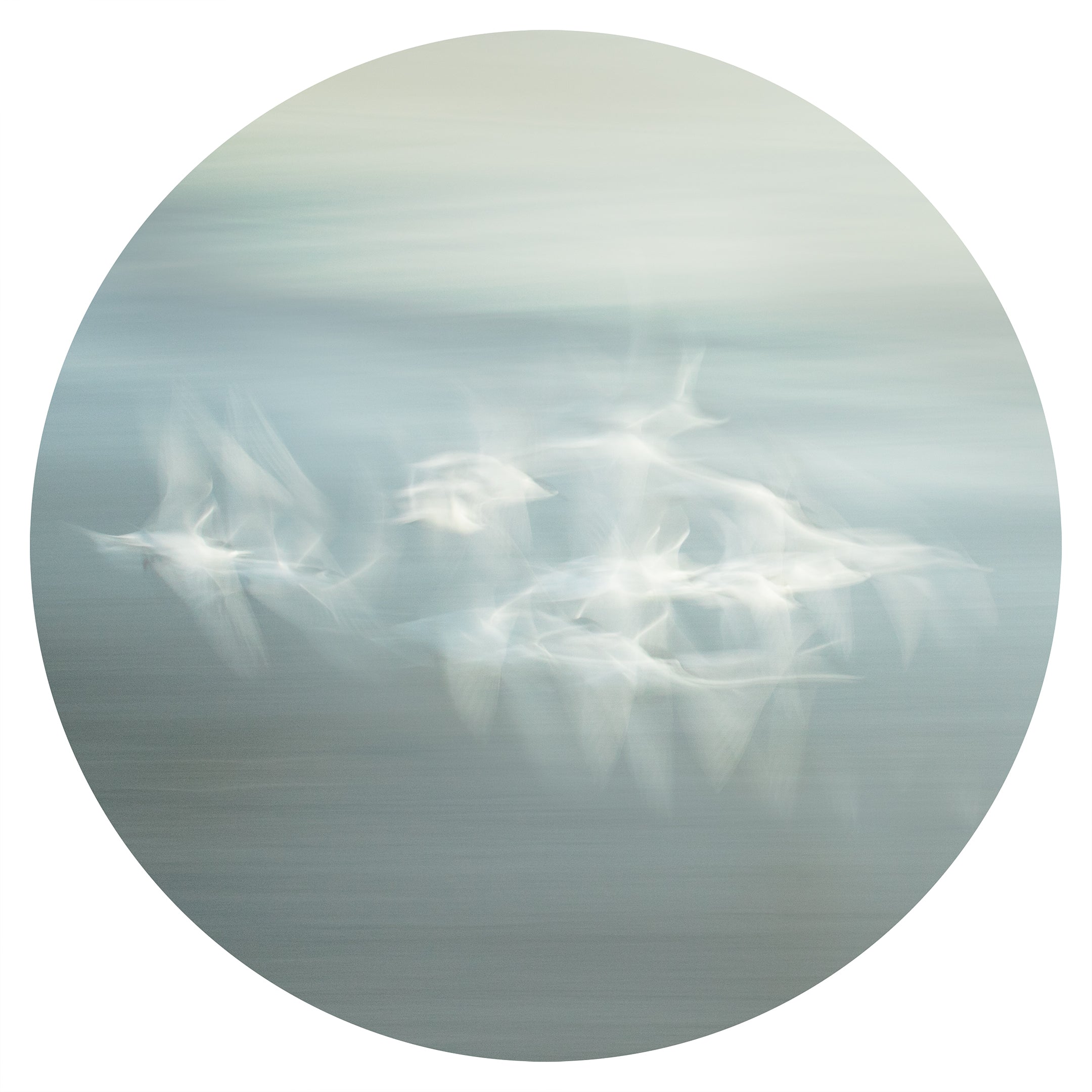 Essence of Flight I - Limited Edition Photograph