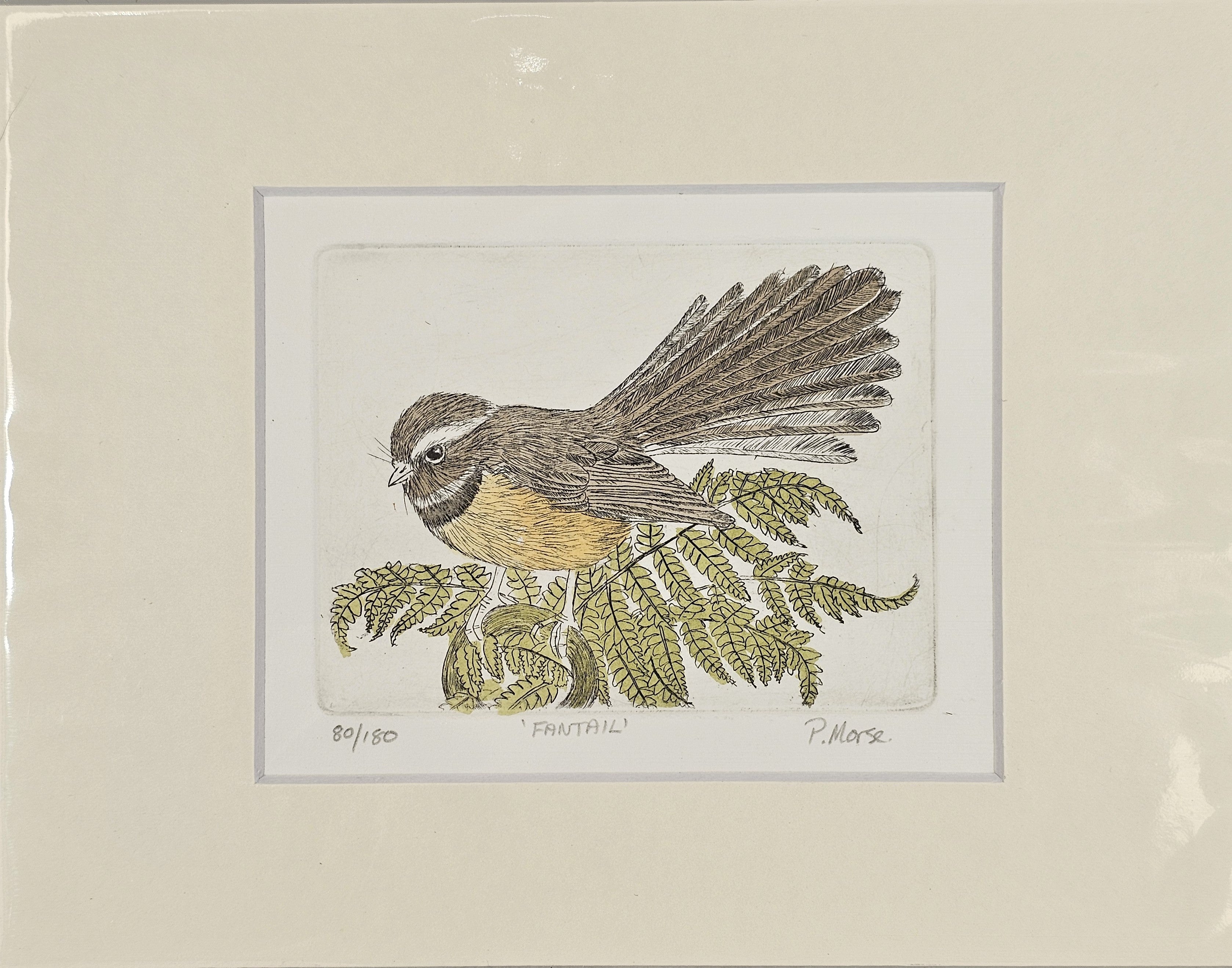 Limited Edition Etching Prints - Birds