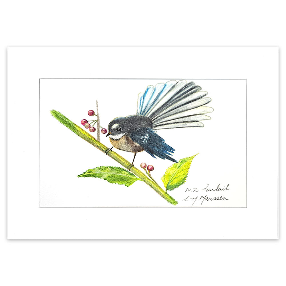 Fantail - Unframed A3 Print
