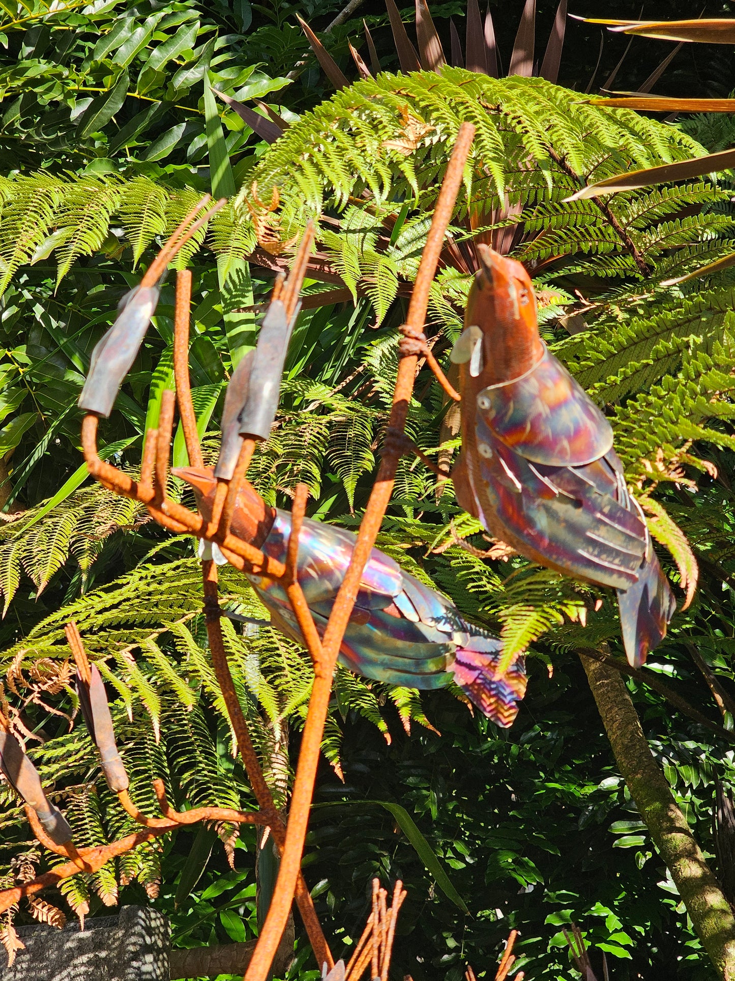 Flax Tui