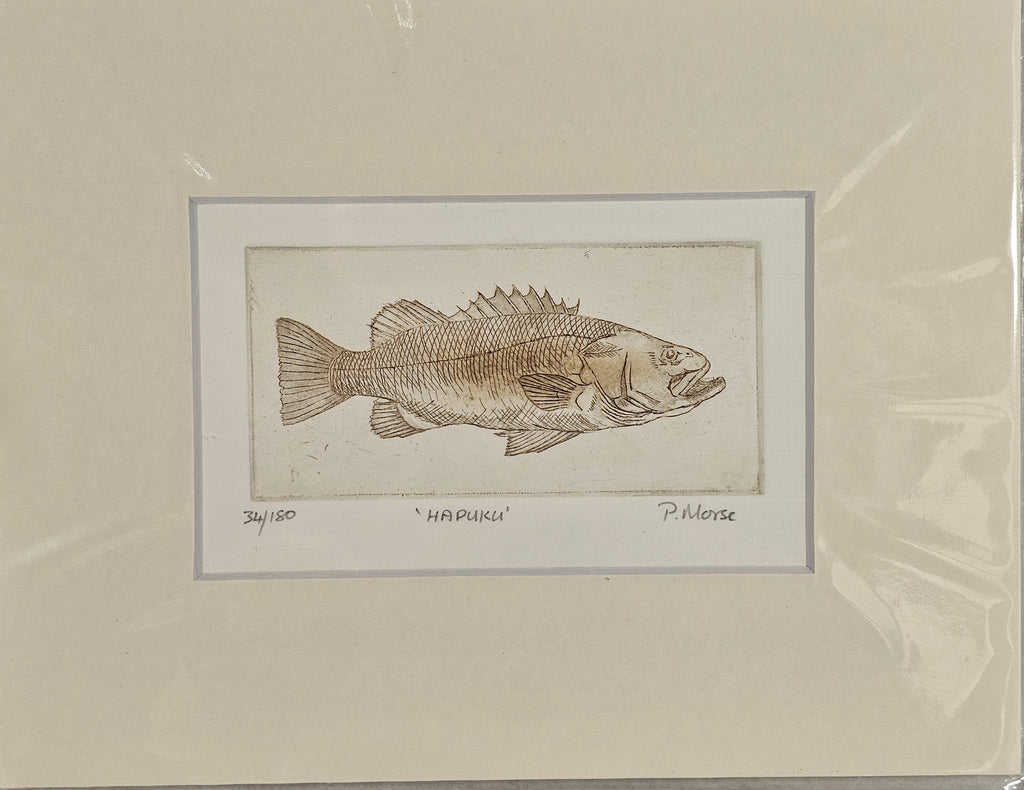Limited Edition Etching Prints - Bugs and Fish