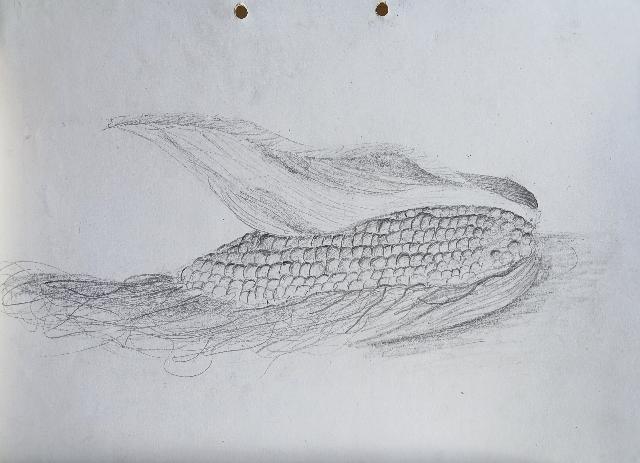 Corn